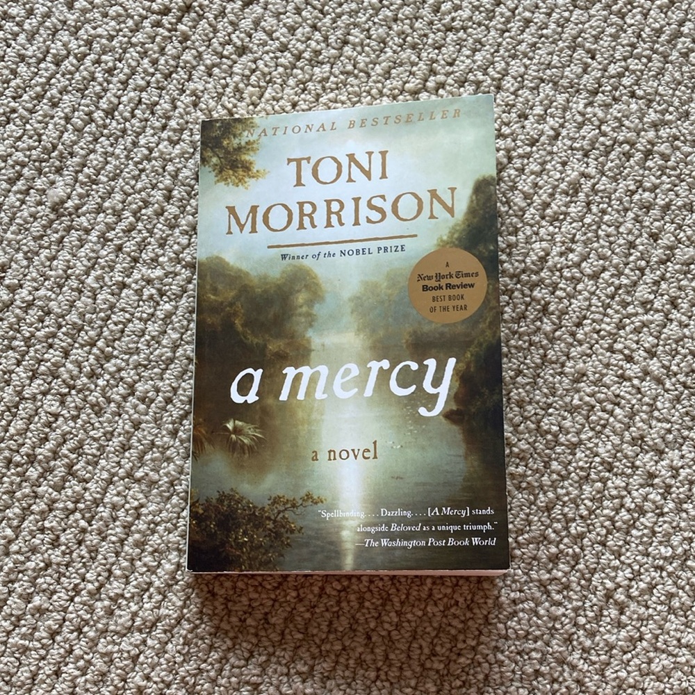 A Mercy By Toni Morrison 9780307276766 Excellent Condition